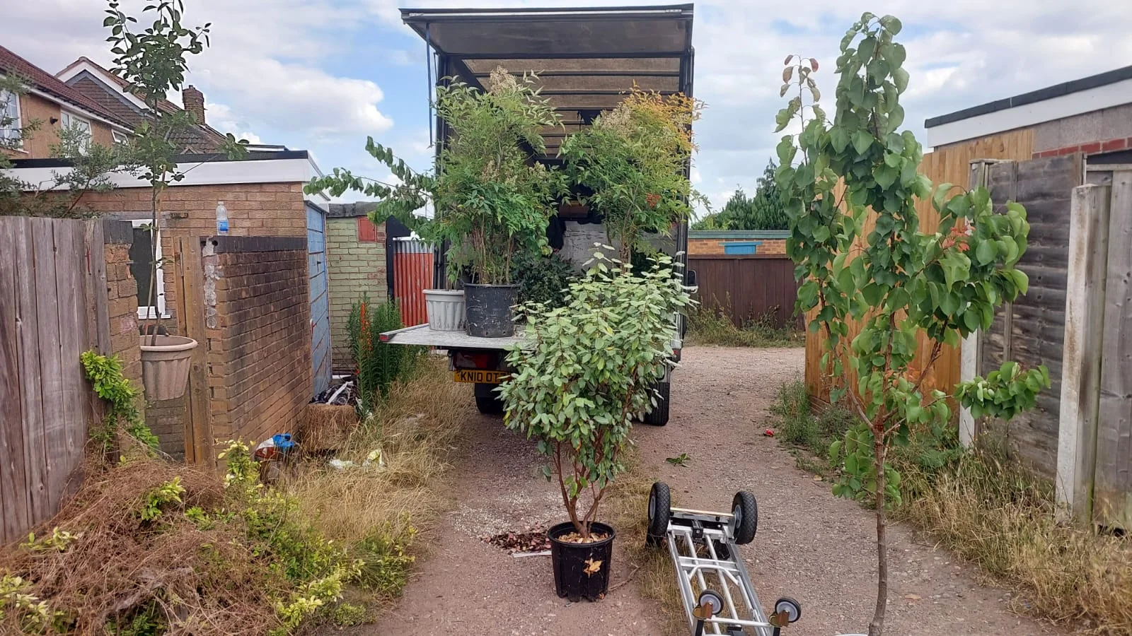 Professional packing service